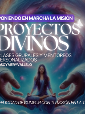 PROYECTOS DIVINOS, Mentoreo de Misiones