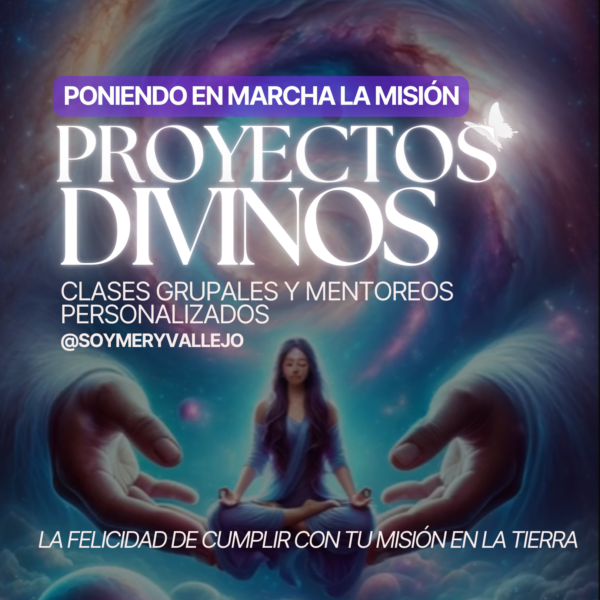 PROYECTOS DIVINOS, Mentoreo de Misiones