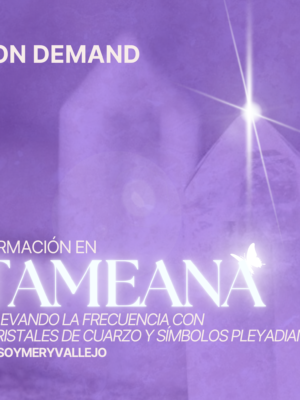 FEED MERY VALLEJO SEPT 2023 (12) Aprende Tameana ON DEMAND